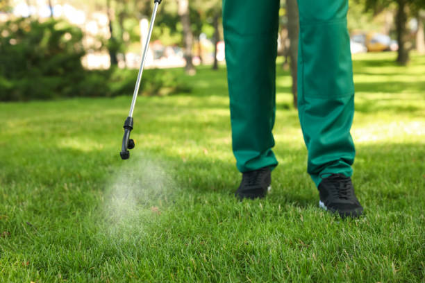 Best Best Pest Control Companies  in Hunters Creek, FL