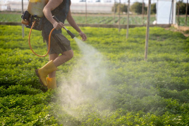 Best Best Pest Control Companies  in Hunters Creek, FL
