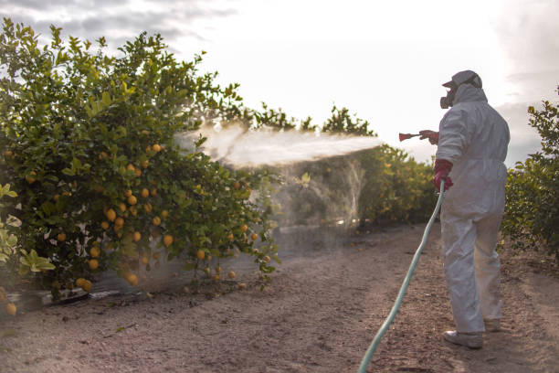 Best Local Pest Control Services  in Hunters Creek, FL