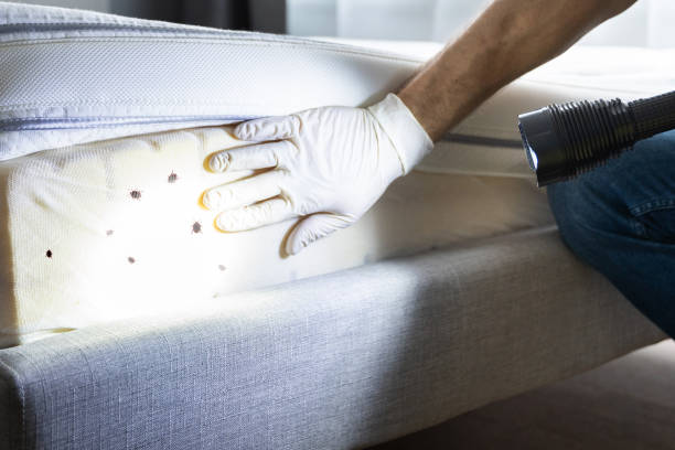 Best Pest Prevention Services  in Hunters Creek, FL