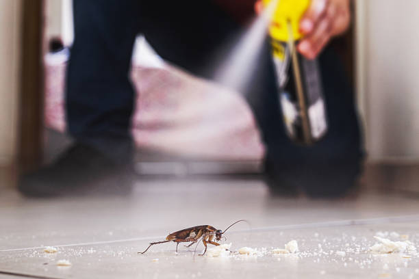 Best Best Pest Control Companies  in Hunters Creek, FL