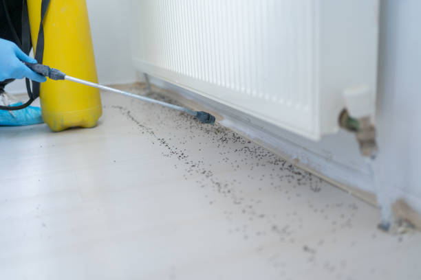 Best Residential Pest Control  in Hunters Creek, FL