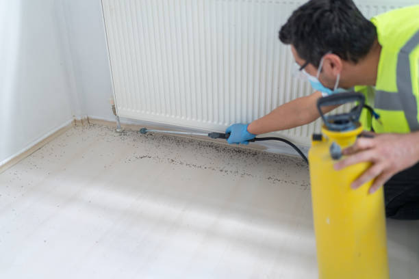 Best Pest Control Near Me  in Hunters Creek, FL