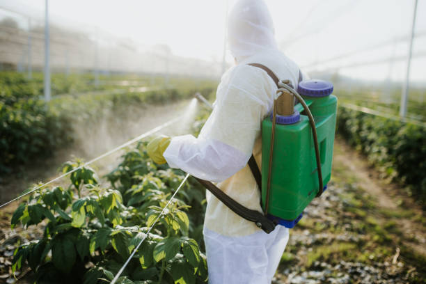 Best Affordable Pest Control Services  in Hunters Creek, FL